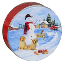 2C Snowman with Labs